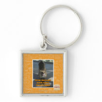 Firefox rejects key chain