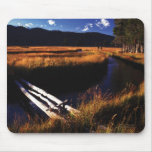 Firehole River