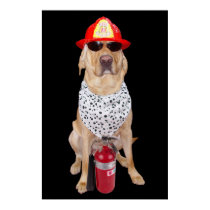 Firehouse Lab posters