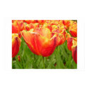 Firelight Tulip print