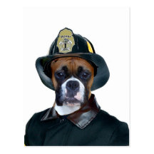 Fireman boxer dog postcard