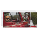 Fireman - Mack rack cards