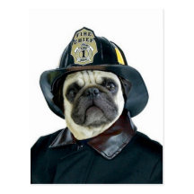 Fireman Pug postcard