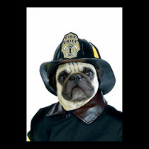 Fireman Pug poster posters