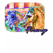 Firenze t-shirts by nextstopitaly Firenze t-shirts