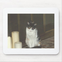 Fireplace Kitty mousepads