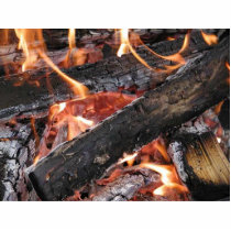 Fires Wood Flames Burning photo sculptures by lifesphere Fires Wood Flames Burning photo sculptures
