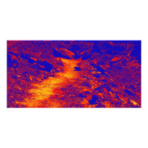 Firescape photo cards by biologybase Firescape photo cards