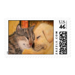 Fireside Romance Dog and Cat Postage Stamp