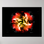 FireStar Print