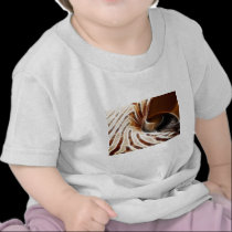 Firestorm t-shirts