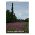 Fireweed along the Parks Highway, Alaska cards