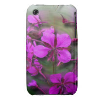 Fireweed in a Hurricane; No Greeting Iphone 3 Case-mate Cases