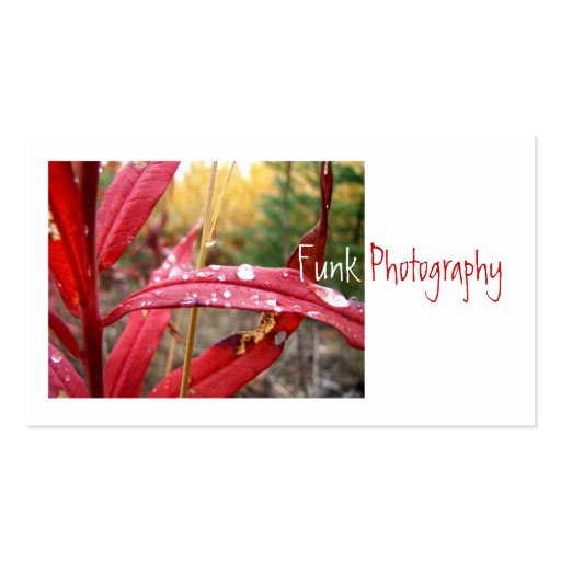 Fireweed in the Fall Business Cards (front side)