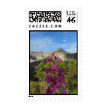 Fireweed in the Pelly Mountains Stamp