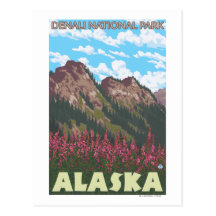 Fireweed & Mountains - Denali Nat'l Park, Postcard
