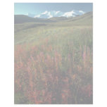Fireweed on the Burwash Uplands, Yukon Territory, Letterhead
