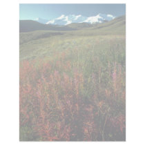 Fireweed on the Burwash Uplands, Yukon Territory, Letterhead