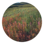 Fireweed on the Burwash Uplands, Yukon Territory, stickers