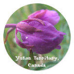 Fireweed Petals; Yukon Territory, Canada Sticker