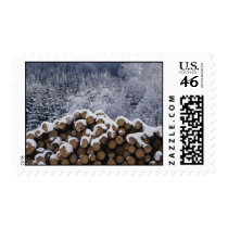 Firewood For Winter postage