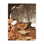 Firewood Postcard