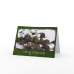 Firewood with Snow - Merry Christmas