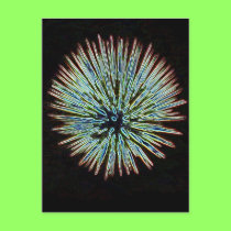 Fireworks1 postcard postcards