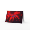 Fireworks 1 cards