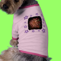 Fireworks #1pet clothing pet clothing