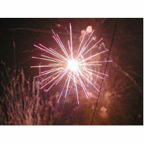 Fireworks 7 photo sculptures by lifesphere Fireworks 7 photo sculptures