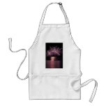 fireworks apron