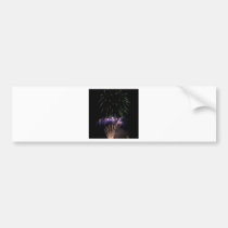 Fireworks bumper stickers