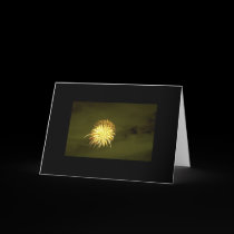 Fireworks Designer Greeting Card