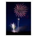 Fireworks Display posters