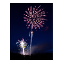 Fireworks Display posters