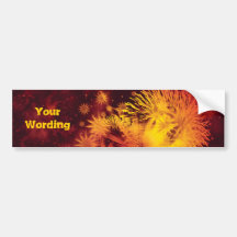 Fireworks major holidays bumper sticker