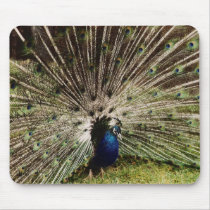 Fireworks mousepads