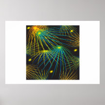 Fireworks Print