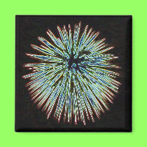 Fireworks Teal magnet magnets