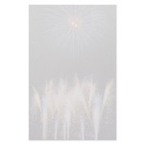 Fireworks, Toronto, Ontario, Canada Custom Stationery