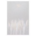 Fireworks, Toronto, Ontario, Canada Custom Stationery