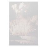 Fireworks, Toronto, Ontario, Canada Personalized Stationery