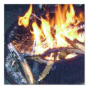firey picture posters by cait89 firey picture posters
