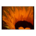 Firey Sunflower cards by RoseJourney Firey Sunflower cards
