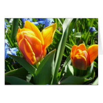 firey tulips cards by ELF1020 firey tulips cards