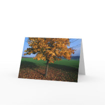 Firmly Rooted Greeting Card