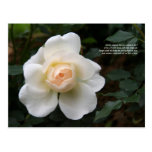 First 4 Lines of Sonnet # 18 by Shakespeare Postcard
