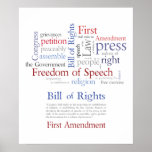 First Amendment Rights - Free Speech  / Expression Posters