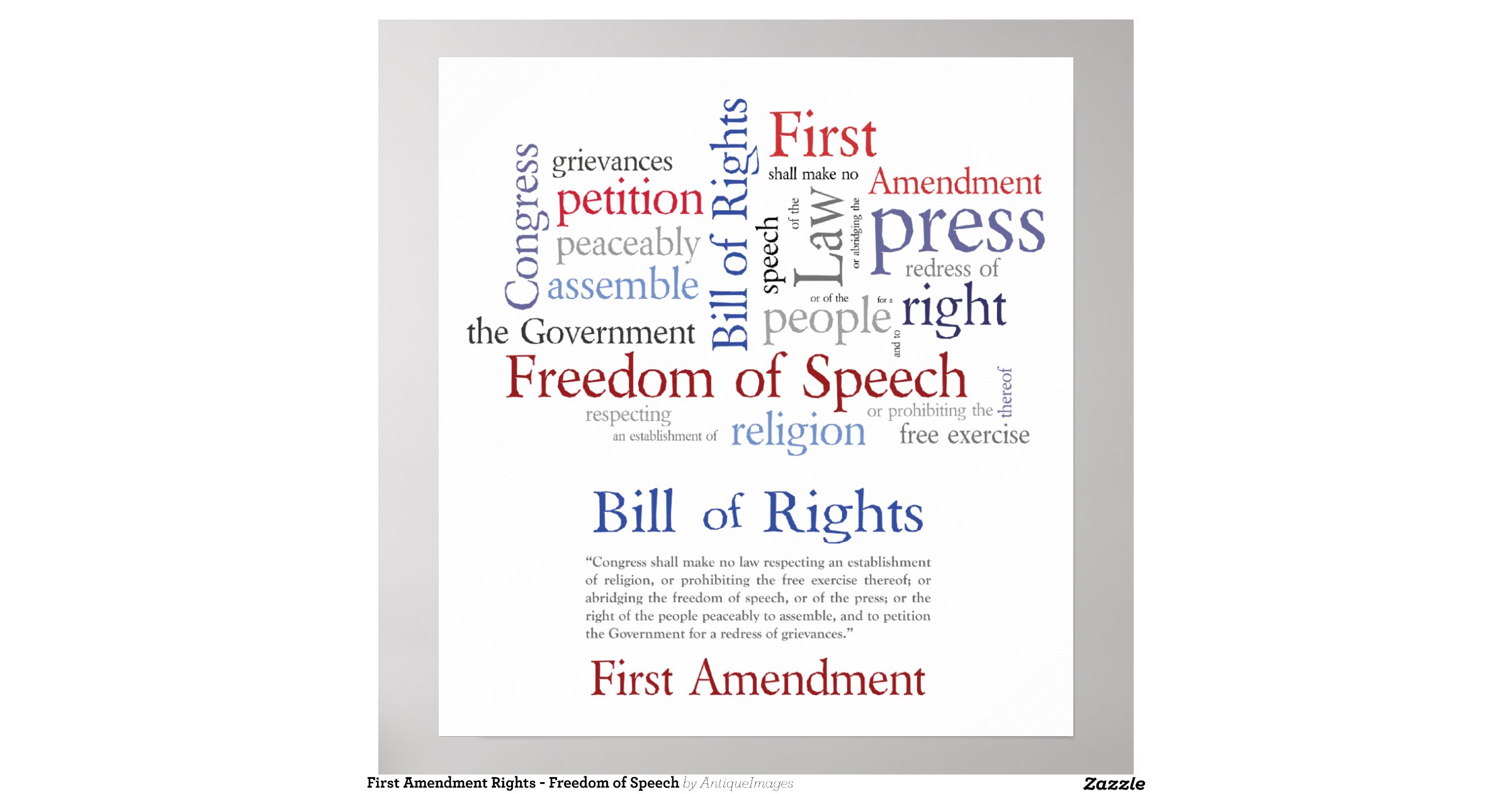 Firstamendmentrightsfreedomofspeechposter R0c1998d4c35f48769e1849c493af8c3ca9bi8byvr